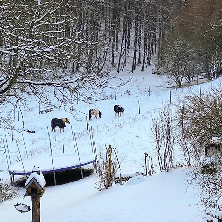 شقة Amazing In Zweifelscheid