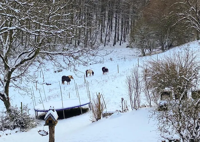 דירה Amazing In Zweifelscheid